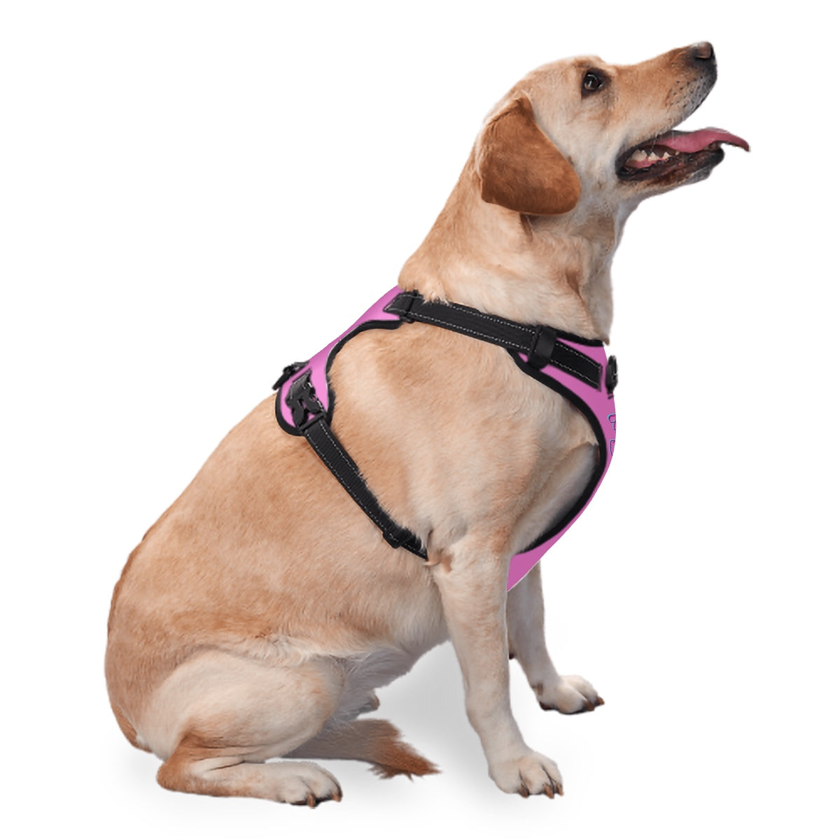 Top Dog Harness Pink