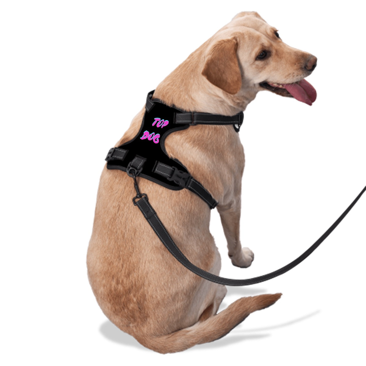 Top Dog Pet Harness Black