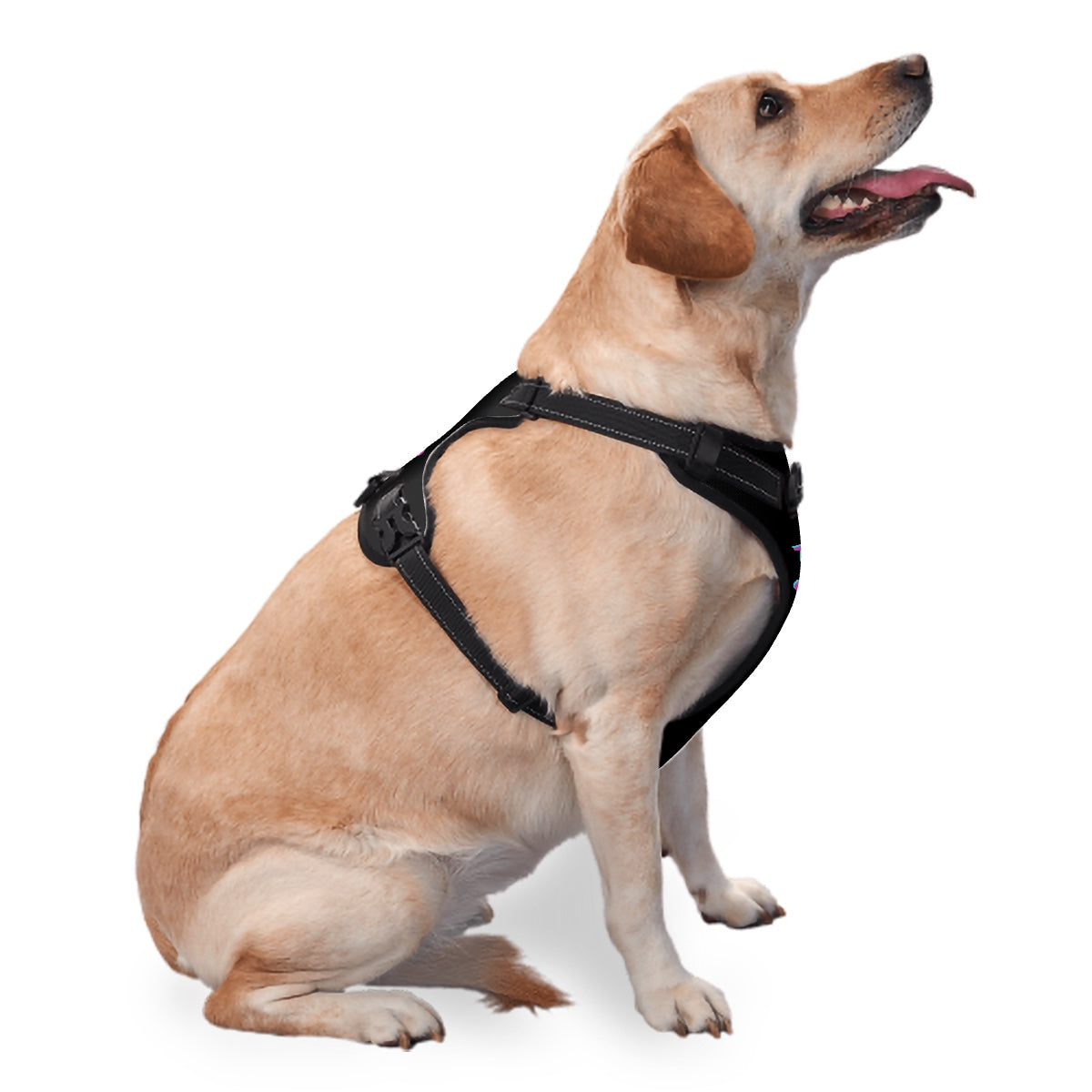 Top Dog Pet Harness Black